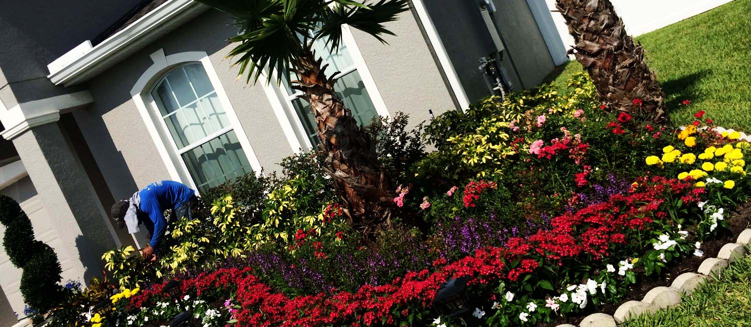 Adolfo-Landscaping-Services-2
