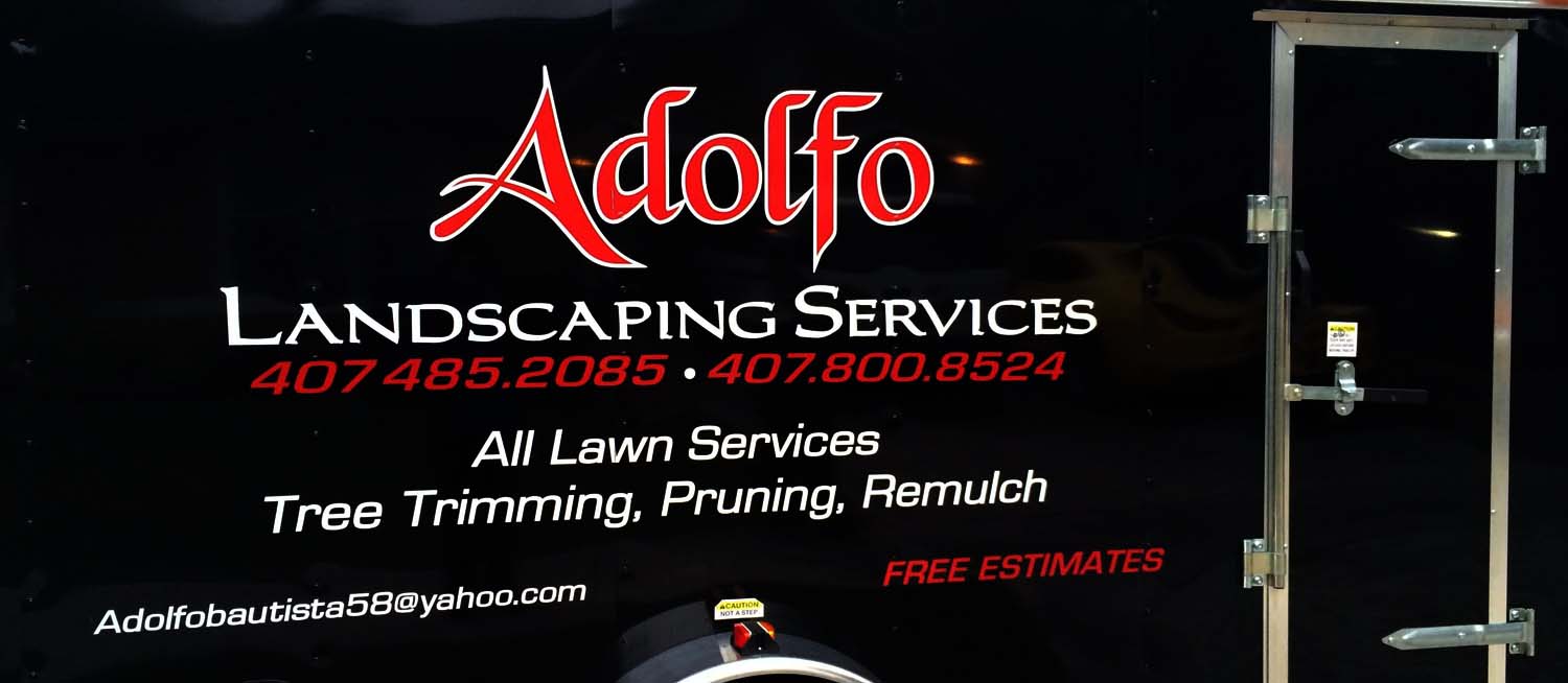 Adolfo-Landscaping-Services-3
